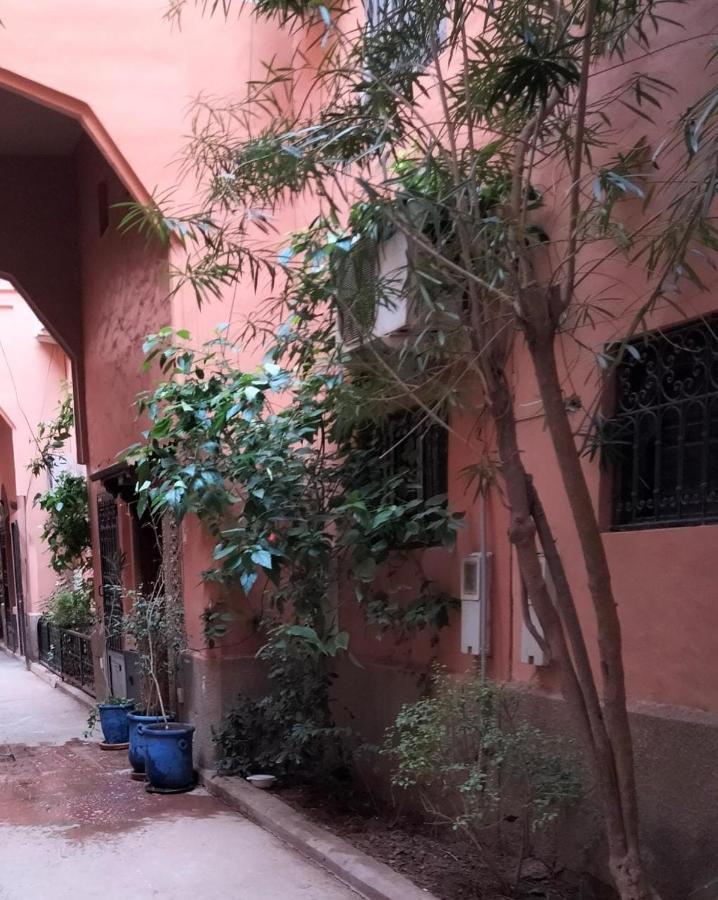 מרקש Riad Green Lotus מראה חיצוני תמונה