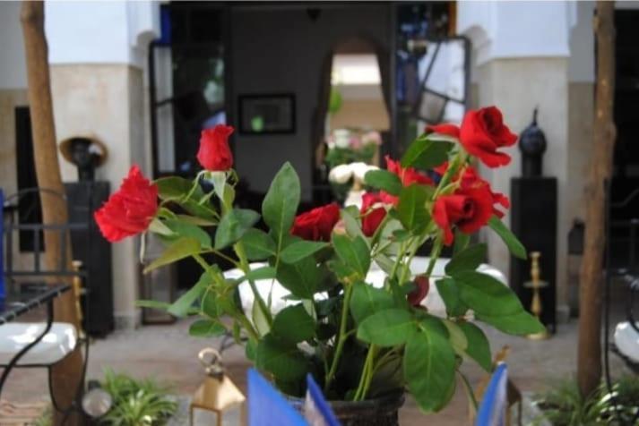 מרקש Riad Green Lotus מראה חיצוני תמונה
